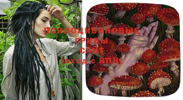 мяу мяу мука Алексин