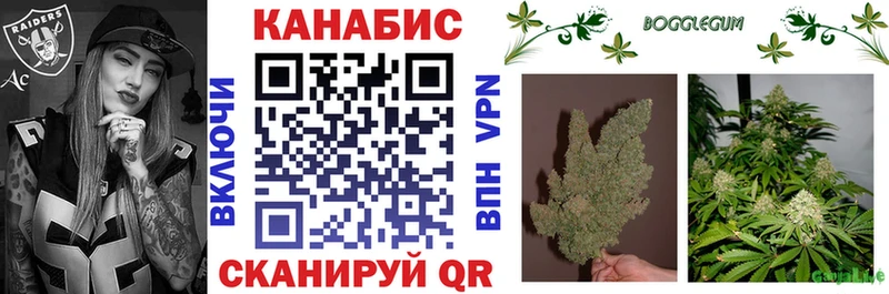 Бошки Шишки Ganja  где найти   Ветлуга 